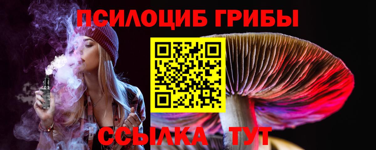 Солнечногорск  Галлюциногенные грибы GOLDEN TEACHER  Вход с VPN  Галлюциногенные грибы Psilocybe 